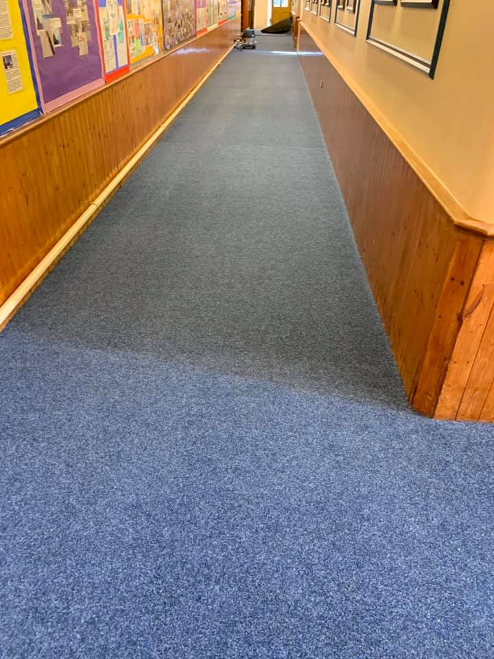 A school hallway with blue carpet, wood paneling along the walls, and display boards with papers and posters on both sides. The corridor is empty and well-lit.